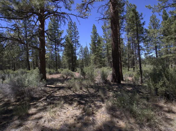 Pow Wow Ln Lot 15, Sprague River, OR 97639