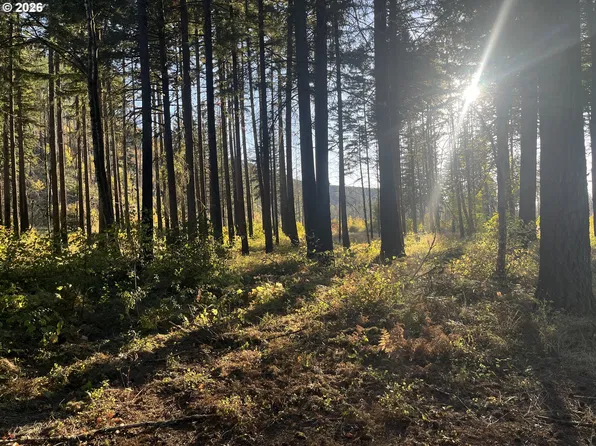 23485 Willa Ln SE, Lyons, OR 97358