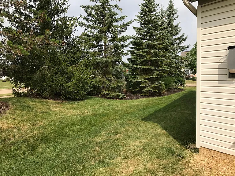 27383 Wheaton Pl — Photo 15