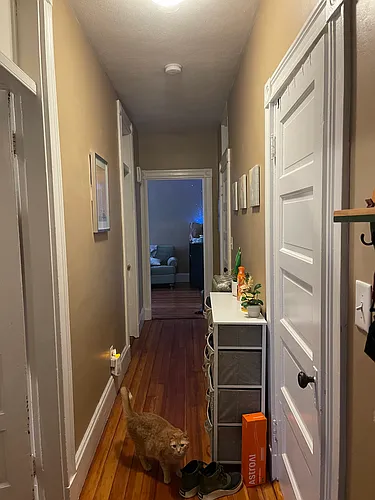 42 Calvin St Photo 1