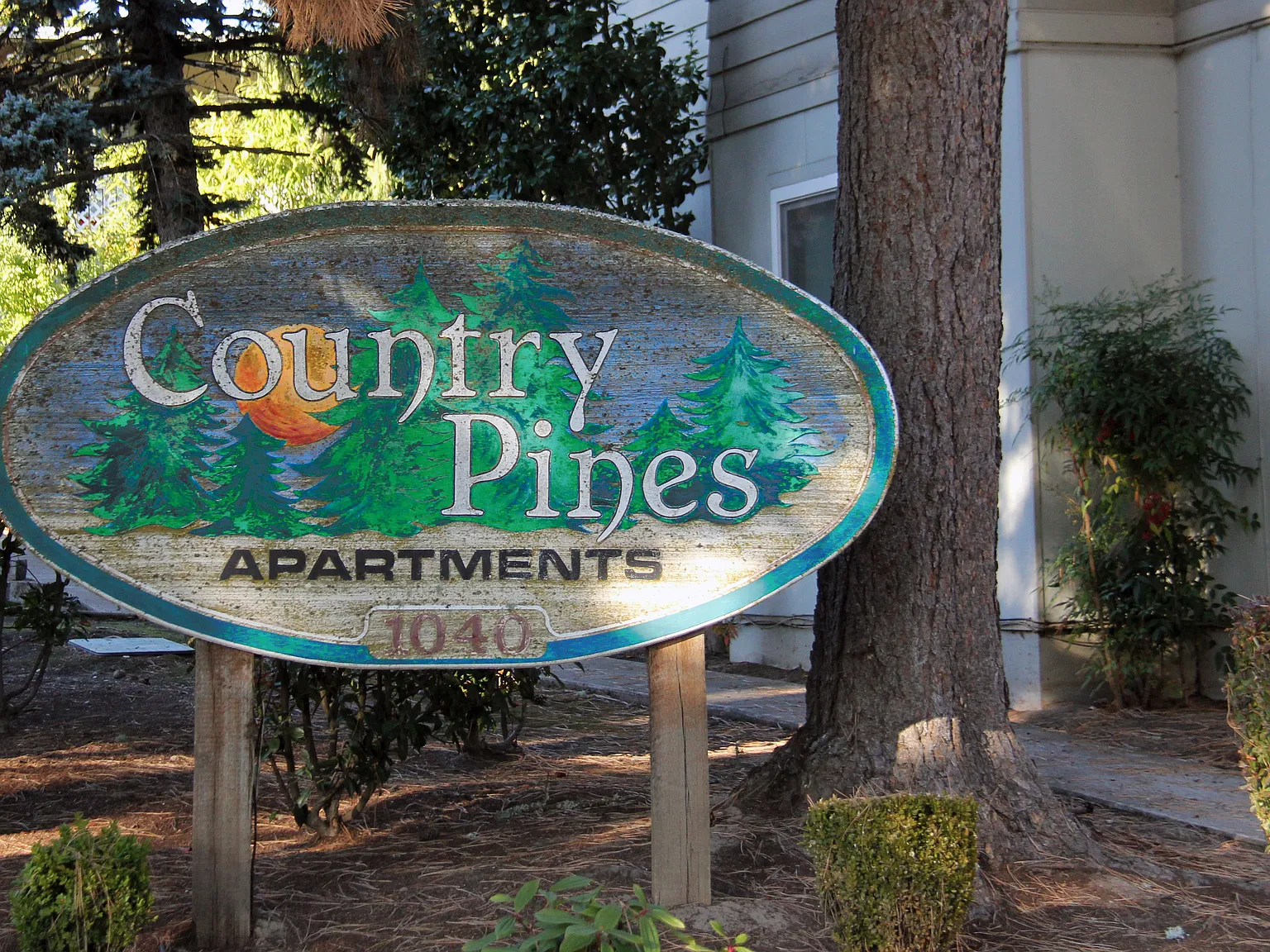 Country Pines — Photo 1