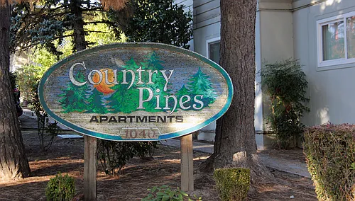 Country Pines Photo 1