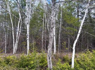 LOT 249 Kauffman Rd, Presque Isle, MI 49777