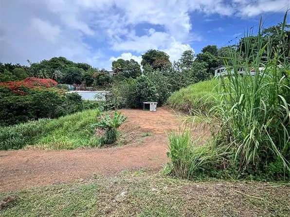 Barrio Guadiana CAMINO COLON, NARANJITO, PR 00719