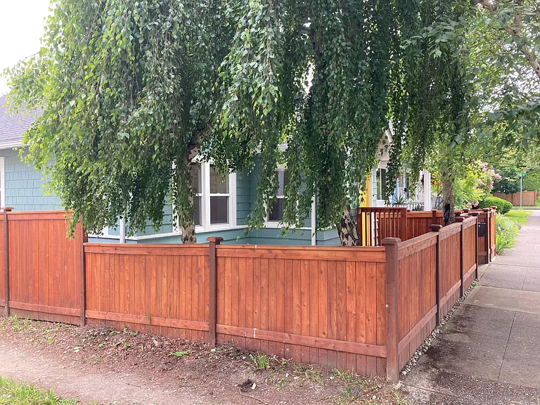 709 N Cedar St — Photo 4