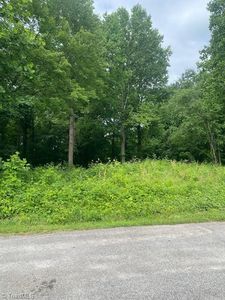 0 Ward St, Roaring River, NC, 28669