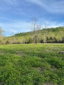 232 248 Dug Hill Rd, Elk Horn, KY, 42733