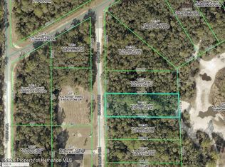 9088 Realstone Dr, Webster, FL 33597