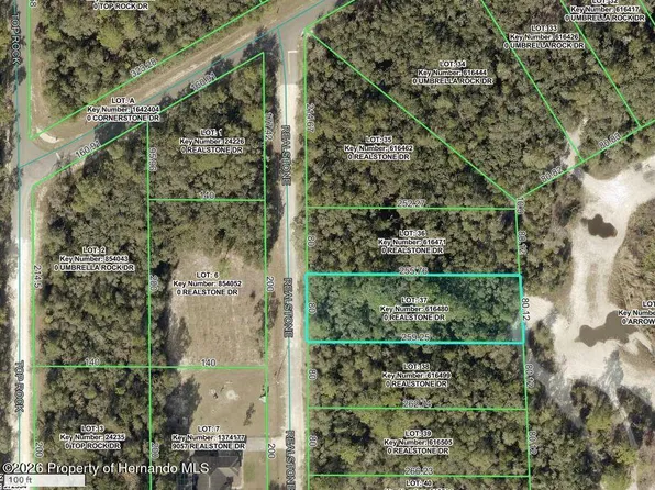9088 Realstone Dr, Webster, FL 33597