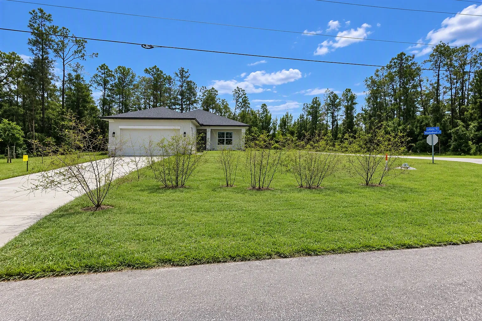 3 bed, 1650 sqft, $2,000 — Photo 2