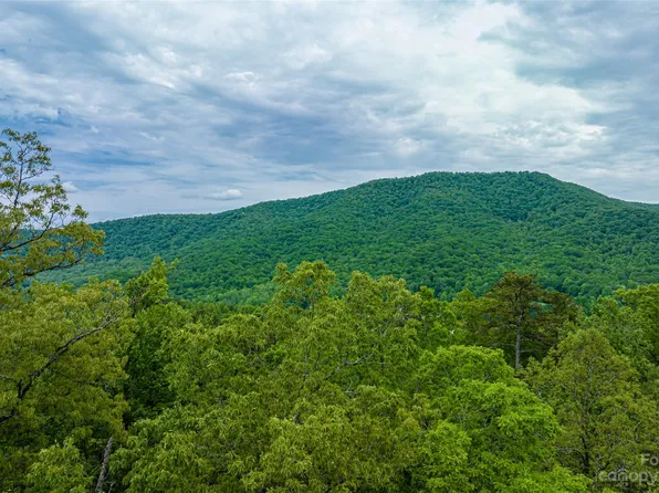 218 Watershed Way, Horse Shoe, NC 28742