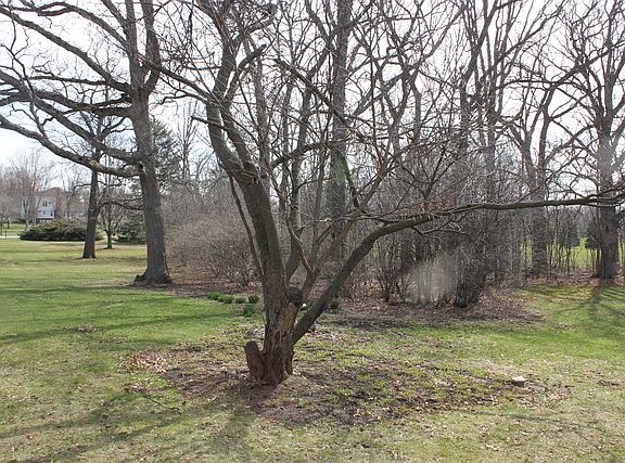 3rd image of 27W781 Swan Lake Dr