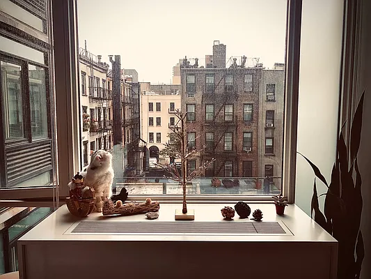 Rented by Gulia Wang, LREB | media 15