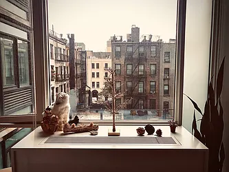 Rented by Gulia Wang, LREB