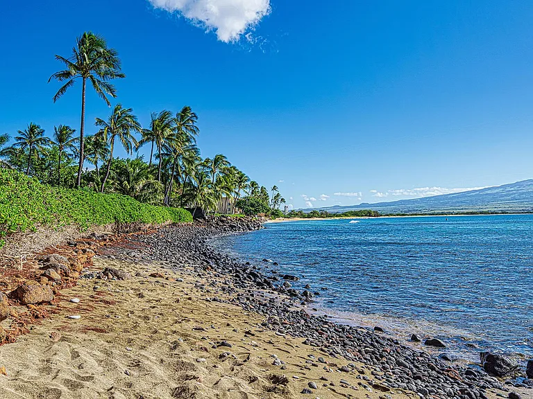 Hauoli St — Photo 46