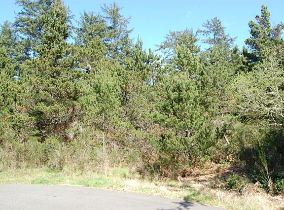 3rd image of 970 Camoko Ct SE