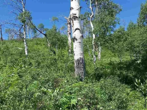 57615 Longfellow Way, Clark, CO 80428