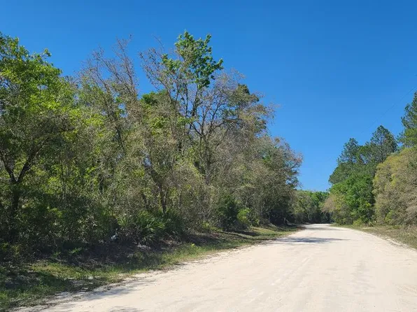 Lot 50 NE 770th St, Old Town, FL 32680