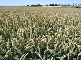 Tyler Island Rd, Isleton, CA 95641