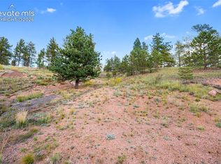 28 Pinnacle Cir, Florissant, CO 80816