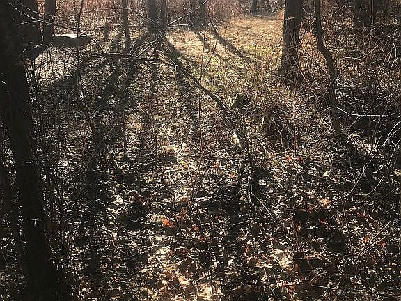5th image of 340-342 Linderman Ave