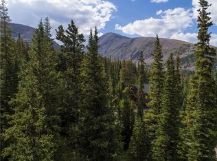 477 Hamilton Ln, Breckenridge, CO 80424