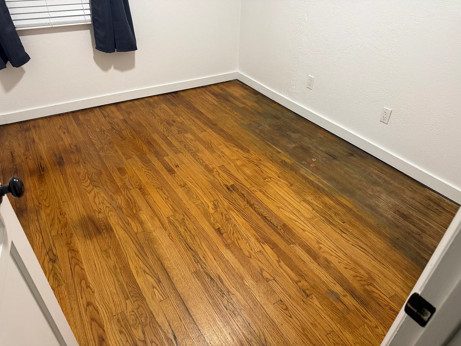 1 bed, 150 sqft, $900 — Photo 2