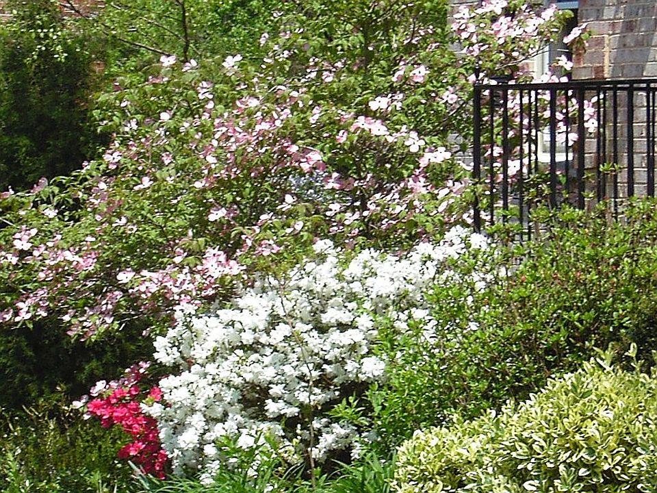 Front View Spring