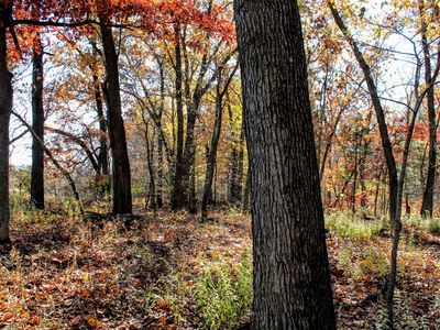 42255 County Road 352, Decatur, MI, 49045