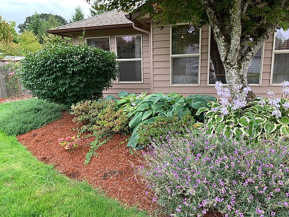 Front yard