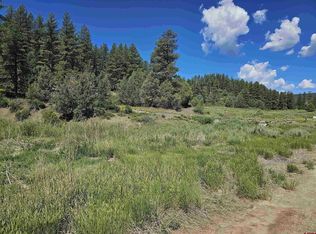 90 Badger Place, Pagosa Springs, CO 81147