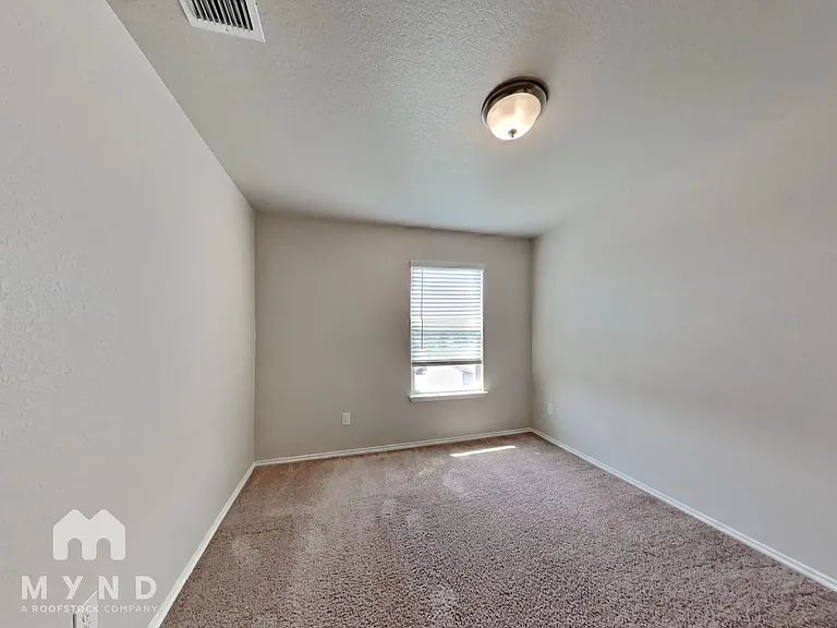 3914 Colemans Run — Photo 19