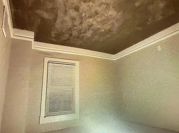 452 Evers St — Photo 4