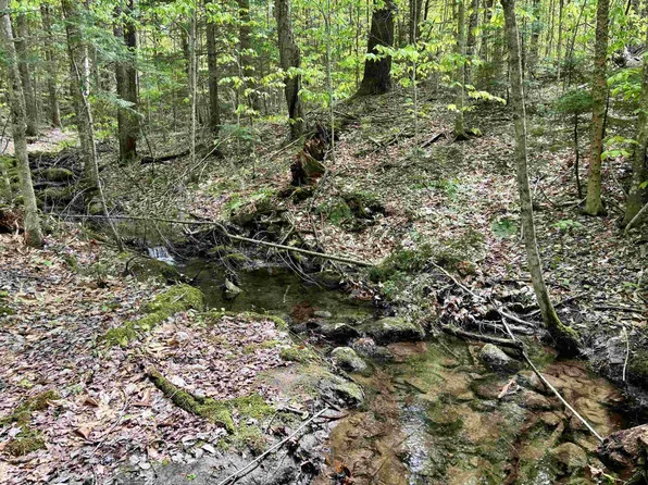 00 Snell Road, Chester, VT 05143