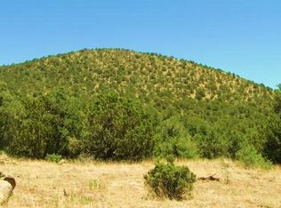 Xx Black Dog Road, Silver City, NM 88061