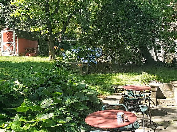 Back yard, dappled shade.