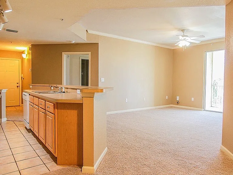 Open living space and kitchen