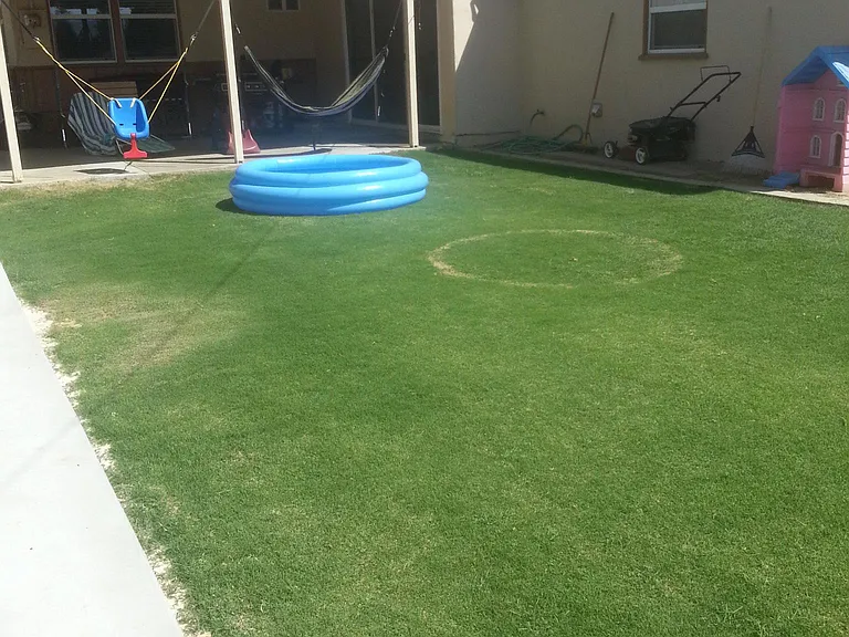 6305 Almond Dr — Photo 12