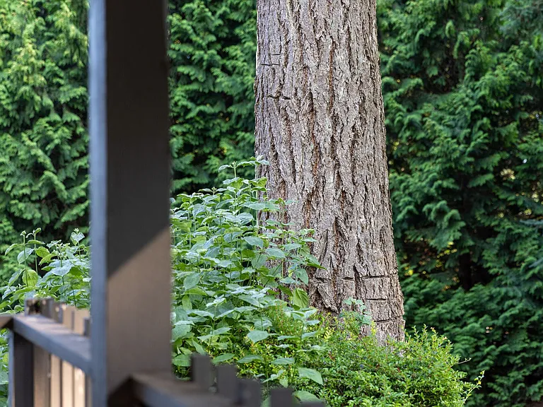 Cliffside — Photo 22