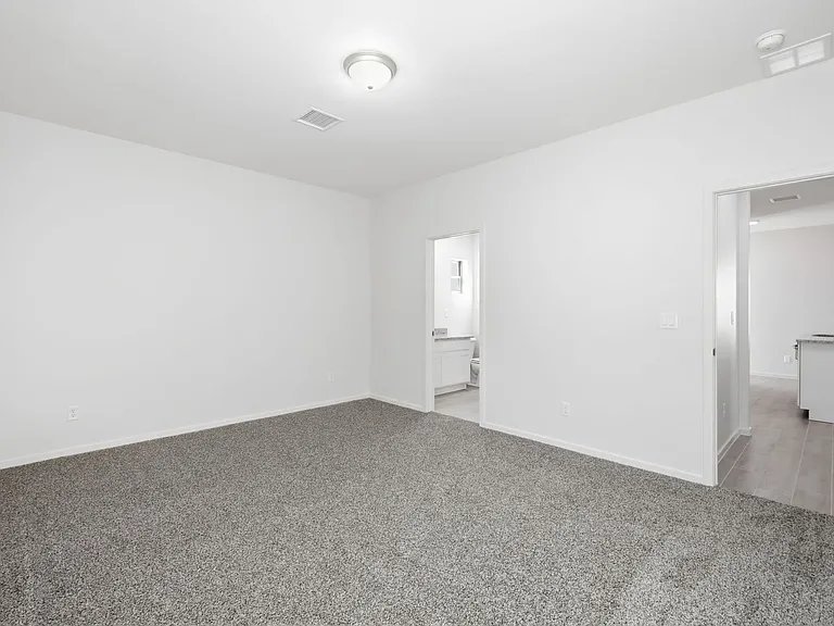 1237 Irish Summer Pl — Photo 45