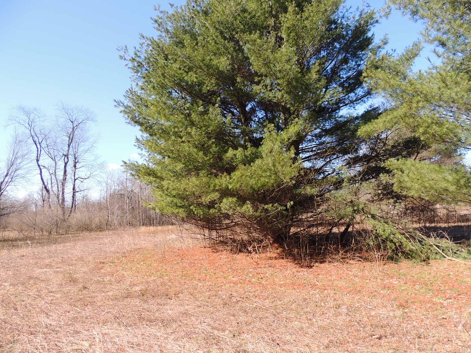 1070 56th St, Pullman, MI 49450 Zillow