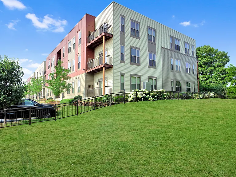 1505 Dog Park
