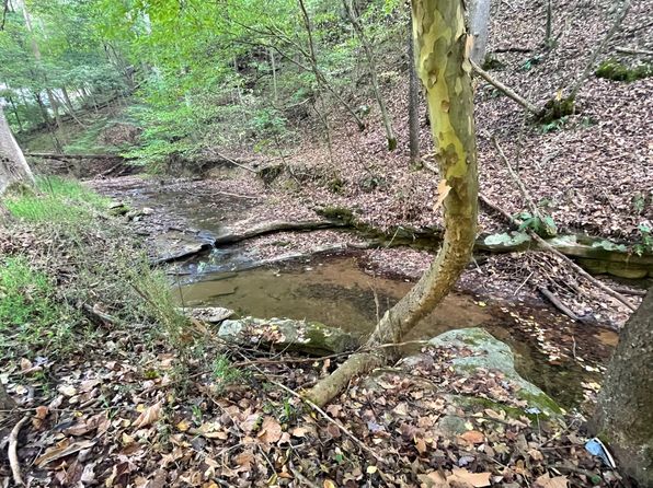 2851 Old Woman Run #B, Sutton, WV 26601