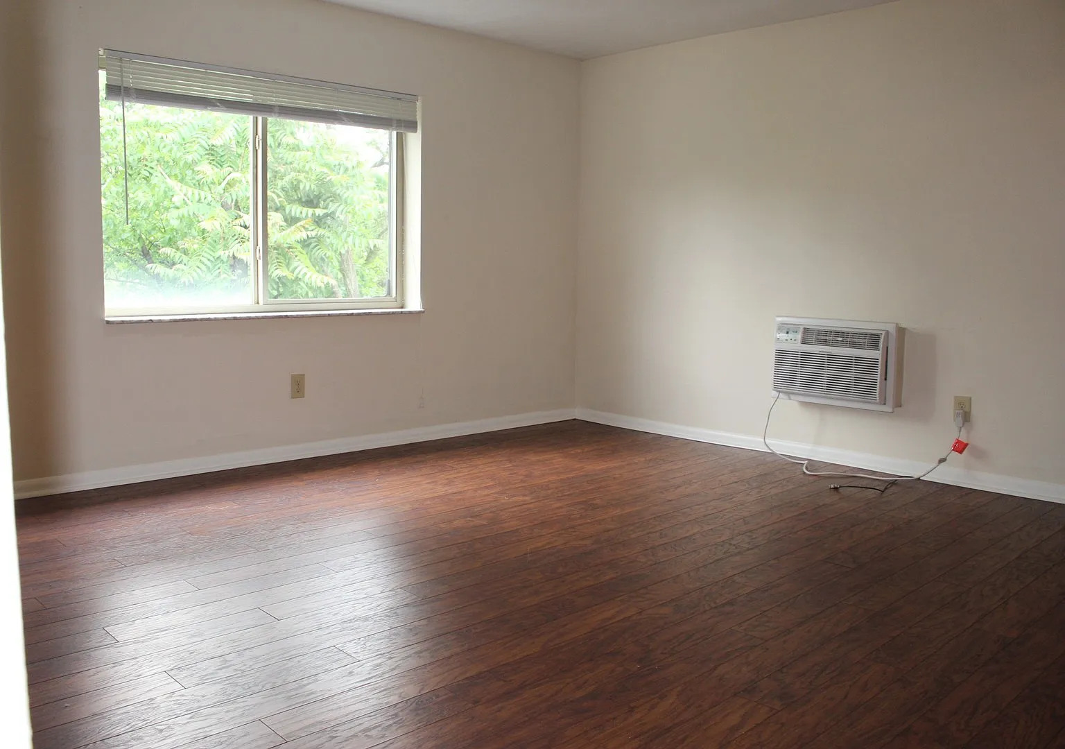OAK — Photo 4