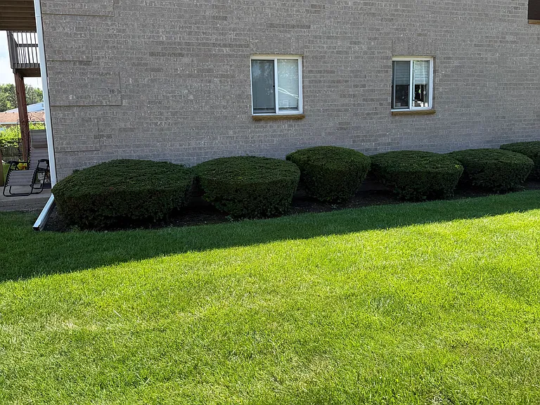 4017 W Lillian St — Photo 20