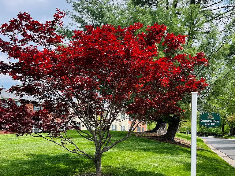 Grounds