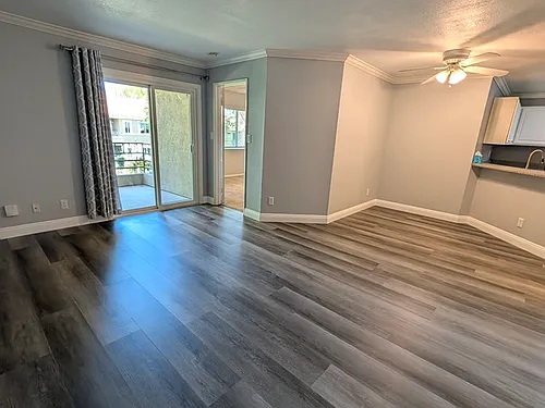 7445 Charmant Dr #1708 Photo 1 7445 Charmant Dr #1708 Photo 1