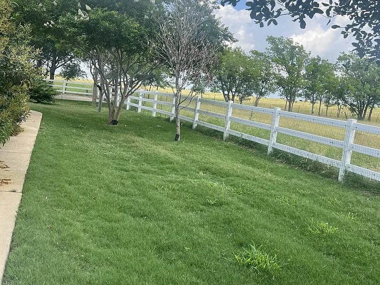 1661 E FM 93 — Photo 30