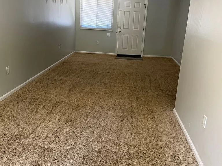 1306 Black Forest Dr — Photo 19