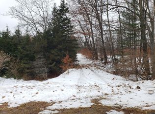 8 Mile Rd, Kaleva, MI 49645